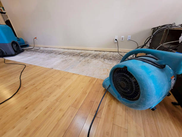 Professional Water Damage Repair technician working in Boston, IN